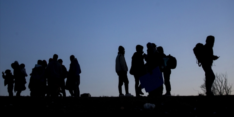 تركيا.. اعتقال 7 مهاجرين غير نظاميين في كوجالي