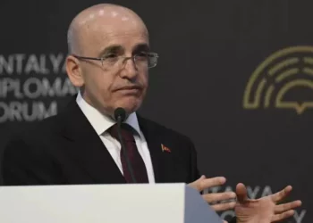 وزير المالية التركي: التضخم سيواصل الانخفاض