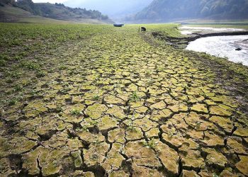 تركيا تشهد أكثر شهور مارس جفافًا منذ 35 عامًا