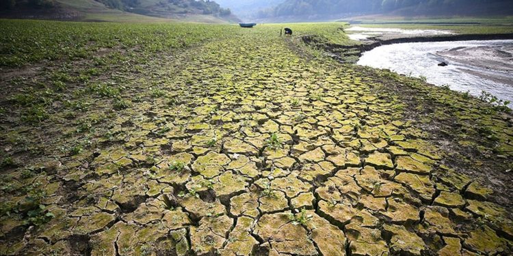 تركيا تشهد أكثر شهور مارس جفافًا منذ 35 عامًا