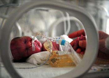 مستشفيات شرق تركيا تعاني من قصور في خدمات الولادة