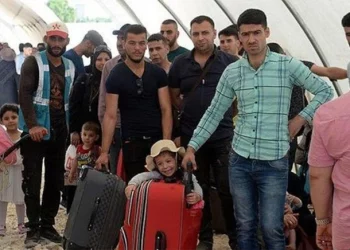 كم يبلغ عدد السوريين العائدين إلى بلادهم بعد سقوط الأسد؟