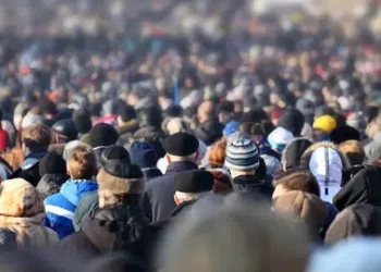 الإعلان عن عدد العاطلين في تركيا