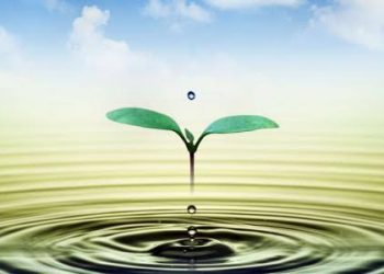 شَظَفُ الطَّبْع