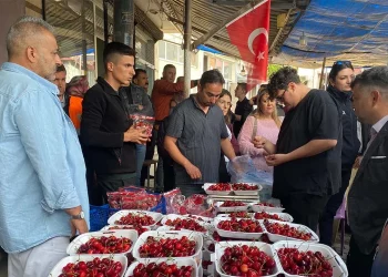 سباق الكرز في تركيا: من يأكل أكثر يفوز بالذهب!