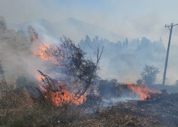 تركيا تشهد حرائق واسعة النطاق مع ارتفاع درجات الحرارة