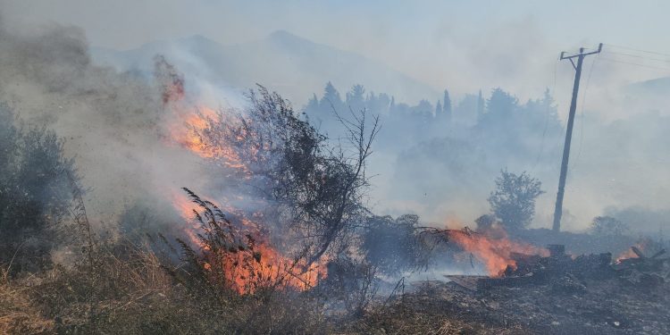 تركيا تشهد حرائق واسعة النطاق مع ارتفاع درجات الحرارة