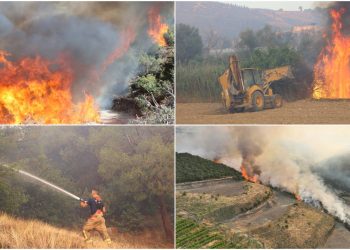 أكثر من 1300 حريق غابات في تركيا منذ بداية العام