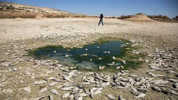 تقرير أممي يحذر: التصحر يهدد 88% من مساحة تركيا