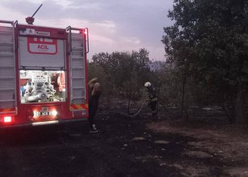 تضرر 35 هكتارًا جراء حريق غابات في ديار بكر