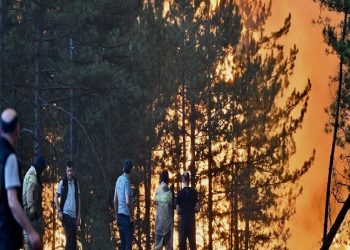 تركيا.. جهود إخماد الحرائق في بورصة مستمرة لليوم الثالث