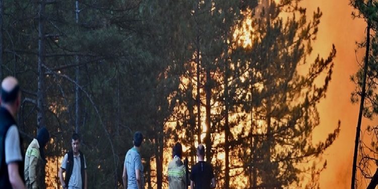 تركيا.. جهود إخماد الحرائق في بورصة مستمرة لليوم الثالث