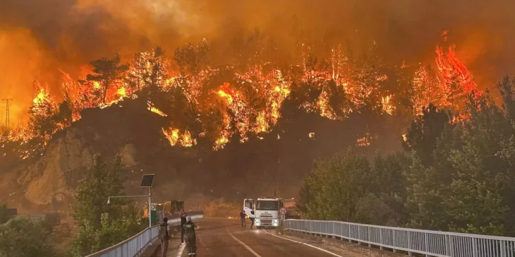 ارتفاع عدد الوفيات في قيصري مع توسع حرائق الغابات المروعة