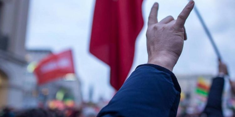 كيف يتغلغل تنظيم “الذئاب الرمادية” التركي في ألمانيا؟