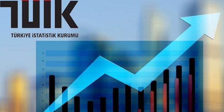 التضخم في تركيا يبلغ 33.52%.. الأغذية والسكن الأعلى ارتفاعًا