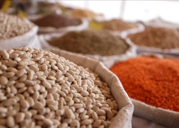 صادرات يوليو من الحبوب والبقوليات التركية ترتفع بنسبة 13%