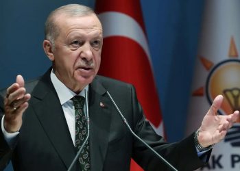 فاتح ألتايلي: “أردوغان هو السبب الوحيد لوجود حزب العدالة والتنمية”