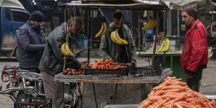 سوريا تحظر استيراد 15 صنفا من الخضروات والفاكهة