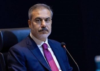 فيدان: لا يمكن مناقشة قضية فلسطين بغياب أهلها