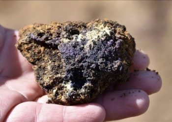 تركيا تتفاوض مع الولايات المتحدة بشأن العناصر الأرضية النادرة