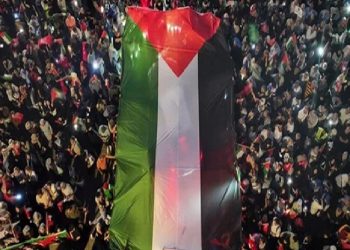 “نمشي للحرية”.. مسيرات متزامنة في تركيا دعما لفلسطين