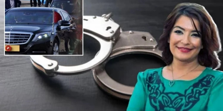 اعتقال الممثلة التركية إيدا ساراتش بتهمة “إهانة الرئيس”