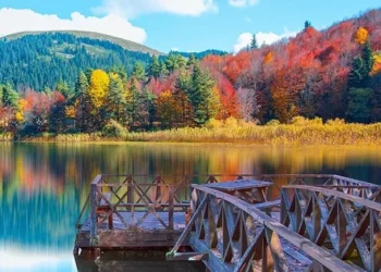 تركيا.. مشروع قانون لاستغلال المتنزهات يثير الجدل