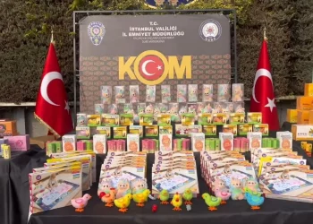 إسطنبول: ضربة لتجارة لابوبو المزيفة.. مصادرة 125 ألف لعبة مسرطنة