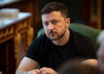 زيلينسكي يزور تركيا لإجراء محادثات سلام بمشاركة أمريكية