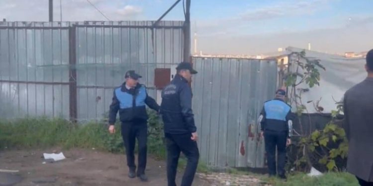 ضبط مسلخ لذبح الحمير في قلب إسطنبول! 