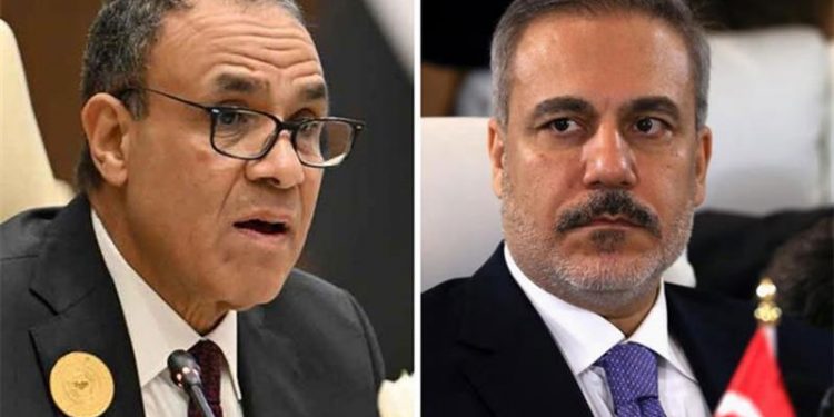 أردوغان يزور مصر مطلع 2026