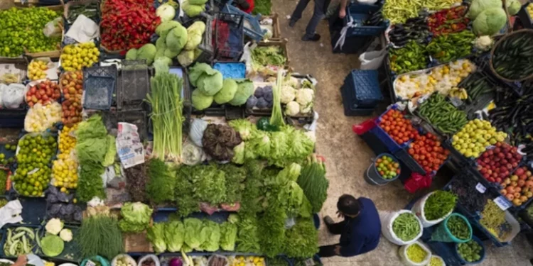 اليوسفي والطماطم الأعلى استهلاكا في إسطنبول