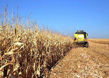 وزير الزراعة التركي يعلن بدء صرف دعم مالي بقيمة 226 مليون ليرة للمزارعين