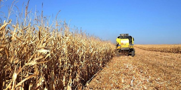 وزير الزراعة التركي يعلن بدء صرف دعم مالي بقيمة 226 مليون ليرة للمزارعين