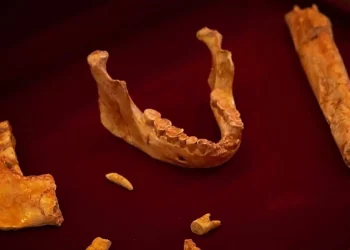 اكتشاف حفريات بشرية في المغرب تعود لـ 773 ألف عام