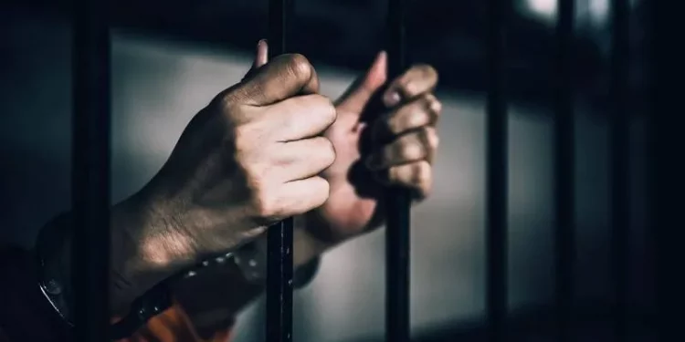 تركيا.. بدائل للحبس وإعادة هيكلة شاملة لمواجهة ظاهرة “العودة للجريمة”