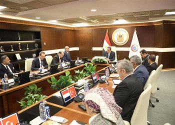 مصر وتركيا تتقدمان في المحادثات بشأن مدينة العاصمة الطبية