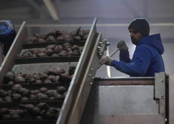 روسيا تلجأ إلى العمالة الهندية