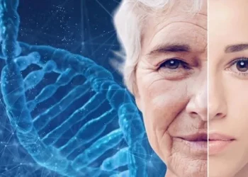 روسيا تعتزم تطوير “لقاح” جيني لمكافحة الشيخوخة 