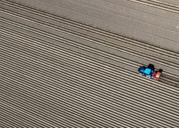 فاتورة “حرب الخليج”.. قفزة في أسعار الغذاء والأسمدة