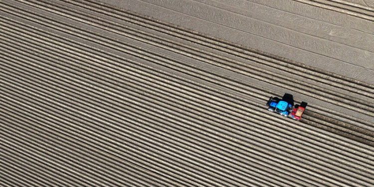 فاتورة “حرب الخليج”.. قفزة في أسعار الغذاء والأسمدة