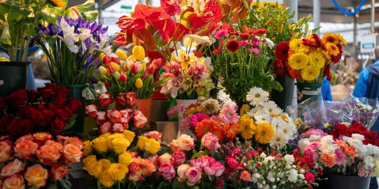 “عيد الأم” في تركيا يرفع سعر الوردة إلى 300 ليرة!